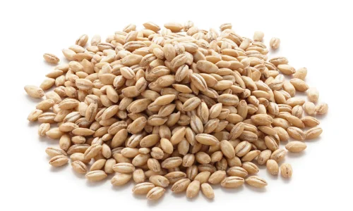 تجربتي مع رجيم الشعير