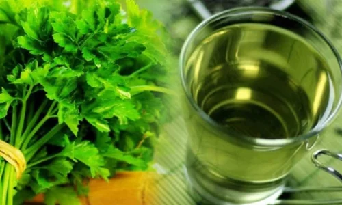 تجربتي مع مغلي البقدونس