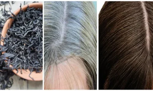 كيفية التخلص من الشيب للابد