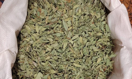 ما هي طريقة استخدام السنامكي؟