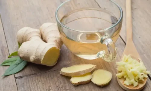 اكتشف مشروب لتنزيل الدورة في نفس اليوم