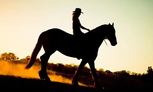 ما تأويل رؤية الفارس في المنام لابن سيرين؟