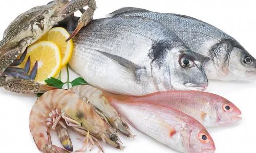 ما هو معنى تفسير  رؤية السمك في المنام لابن سيرين؟