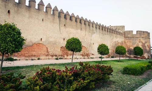 اعرف أهم 50 دلالة لكبار المفسرين لرؤية السور في المنام