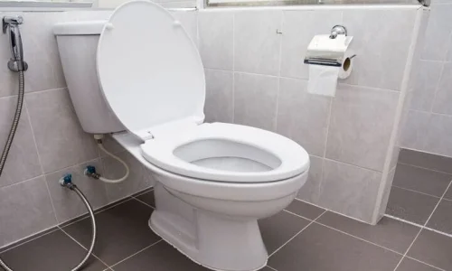 تعرف على أهم 100 تفسير لابن سيرين لرؤية المرحاض في المنام للعزباء