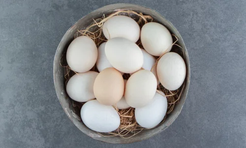 أهم 20 تفسير لرؤية البيض في المنام لكبار المفسرين؟