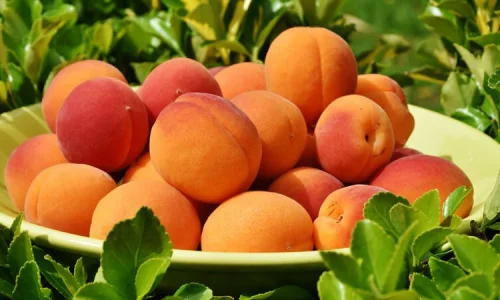 تعرف أهم 100 تفسير لحلم اكل الخوخ في المنام لابن سيرين