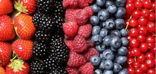 تفسير حلم أكل التوت لابن سيرين