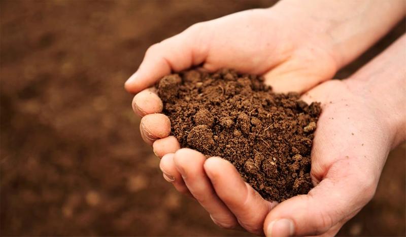 تعرف على تفسير حلم التراب في المنام لابن سيرين