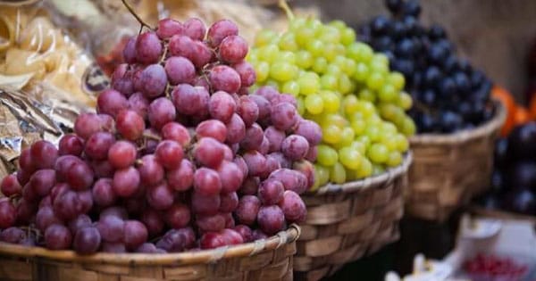 تعرف على تفسير رؤيا العنب في المنام لابن سيرين