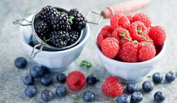 ما هو تفسير رؤية التوت في المنام لابن سيرين