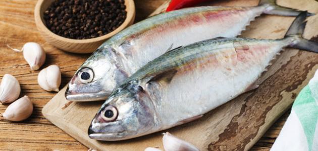 اهم 20 تفسير لرؤية سمكه كبيره في المنام لابن سيرين