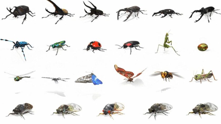 تأويلات ابن سيرين لتفسير رؤيا الحشرات في المنام