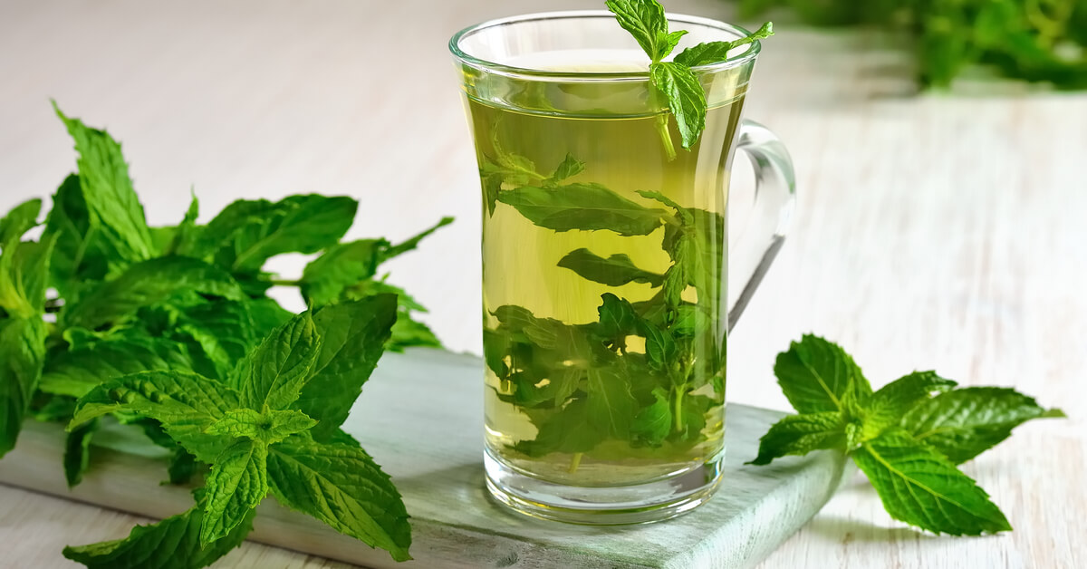 ما هو تفسير حلم النعناع في المنام لابن سيرين