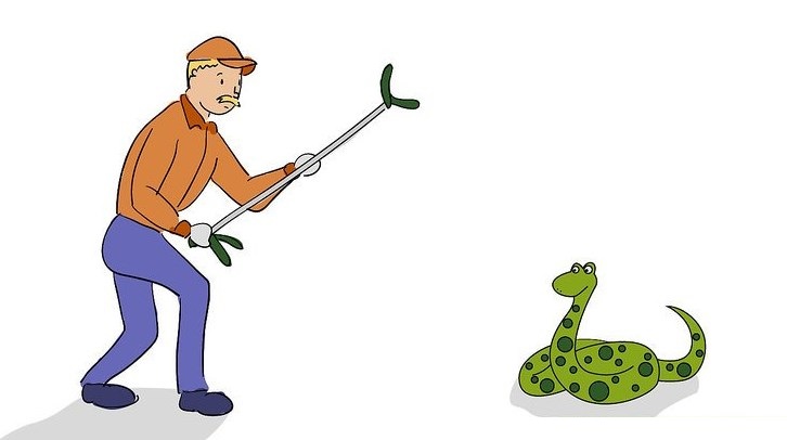 ما هو تفسير حلم قتل الثعبان في المنام لابن سيرين والنابلسي