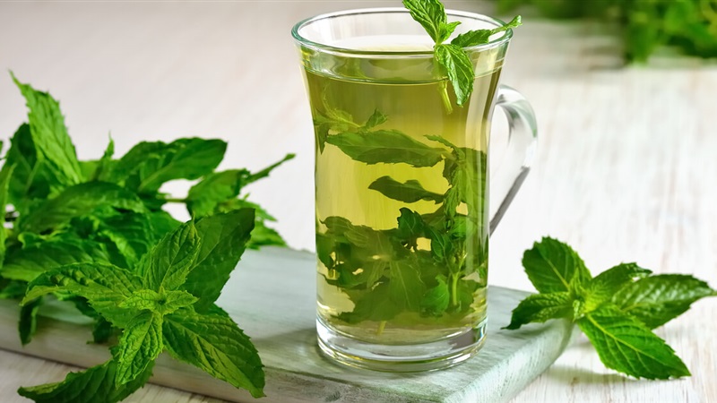 ما تفسير رؤية النعناع في المنام لابن سيرين