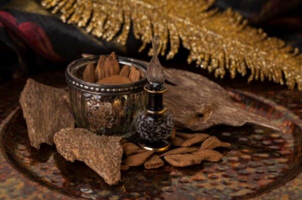 تفسير هدية خشب العود في المنام للمتزوجة لابن سيرين