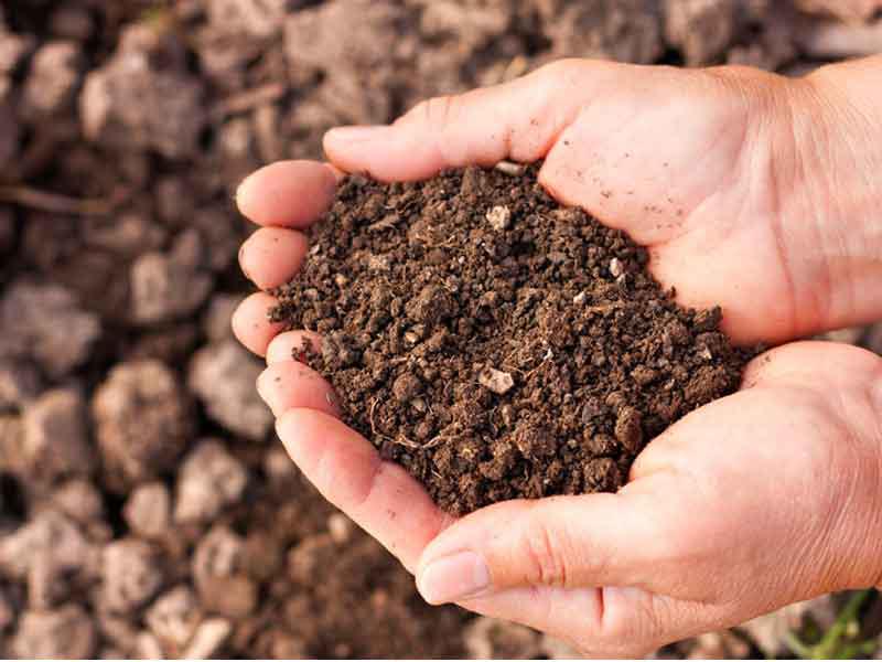 تفسير رؤية التراب في المنام لابن سيرين