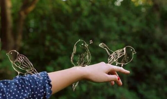 أهم 20 تفسير لحلم العصفور لابن سيرين