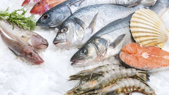 تعرف على تفسير رؤيا السمك في المنام لابن سيرين