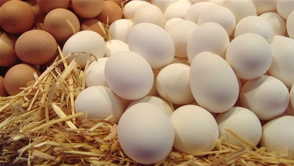 تفسير رؤية البيض في المنام للعزباء لابن سيرين