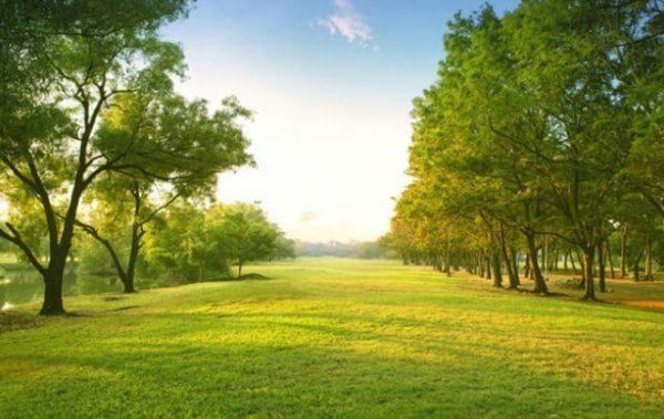 تفسير رؤية الأرض في المنام للمتزوجة لابن سيرين