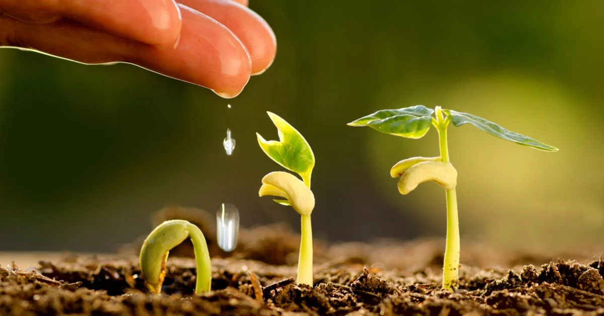 أهم 20 تفسير لحلم الزراعة لابن سيرين وكبار العلماء