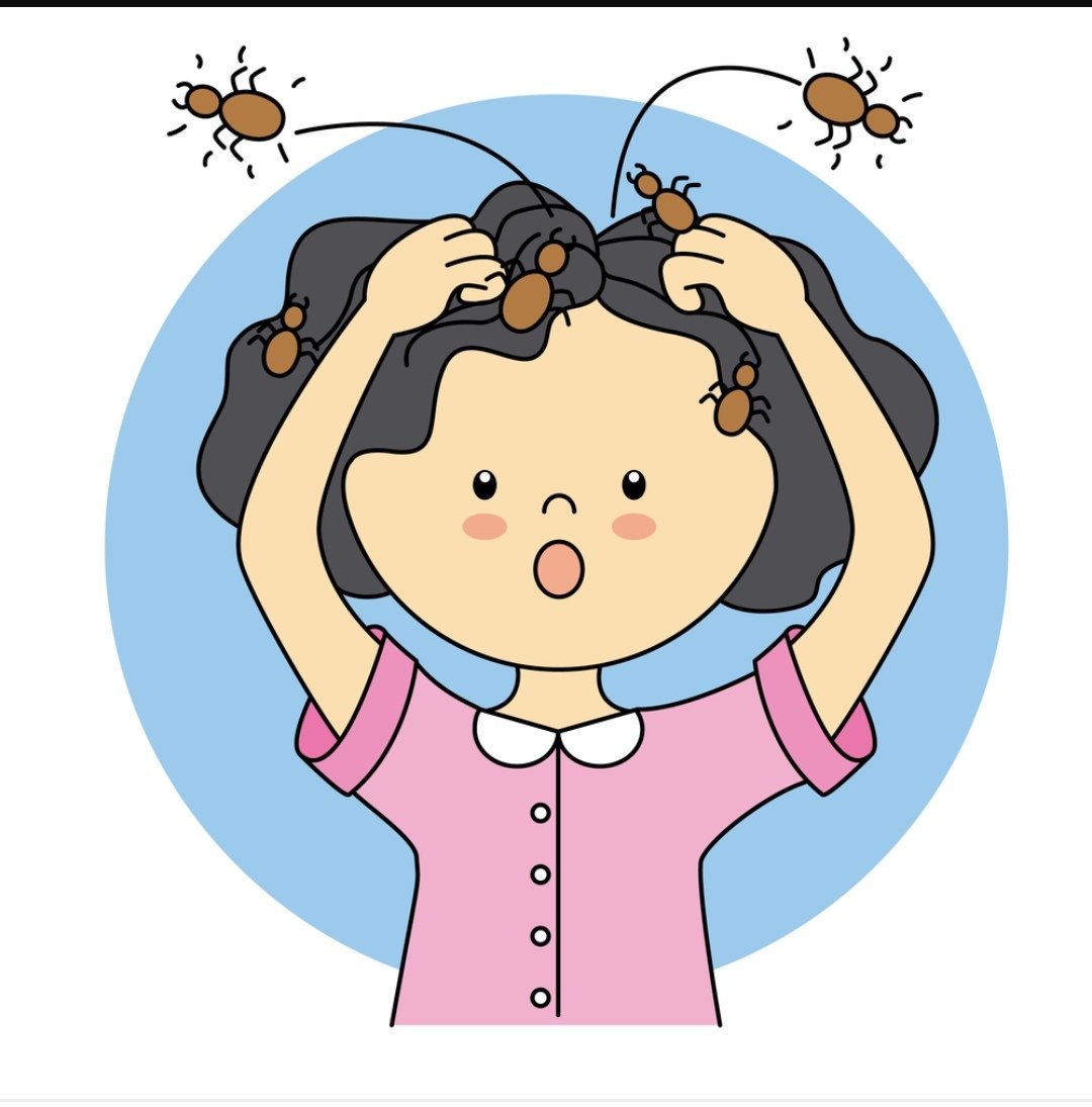 ما تفسير حلم القمل وقتله في المنام لابن سيرين