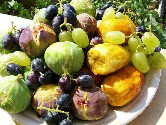 ما تفسير رؤية العنب والتين في المنام لكبار العلماء