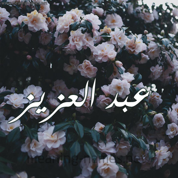 ما تفسير حلم اسم عبدالعزيز في المنام لابن سيرين