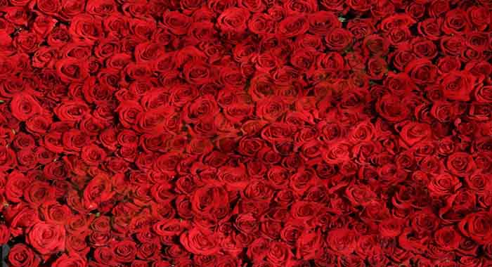 تأويلات ابن سيرين لرؤية اللون الأحمر في المنام