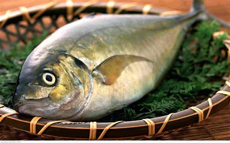 اعرف أكثر عن تفسير رؤية السمك في المنام للرجل لابن سيرين