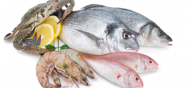 تعرف على تفسير رؤيا السمك في المنام لابن سيرين